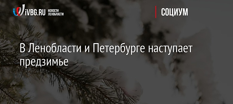 В Ленобласти и Петербурге наступает предзимье