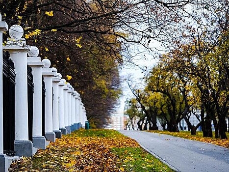 В Московском регионе ожидается небольшой снег и до минус 5 градусов