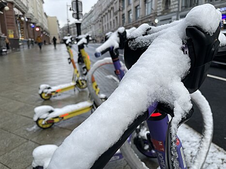 В Москве за 243 года потеплело на три градуса