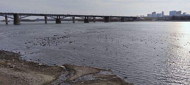 В  Новосибирской области в ближайшие сутки похолодает до -13