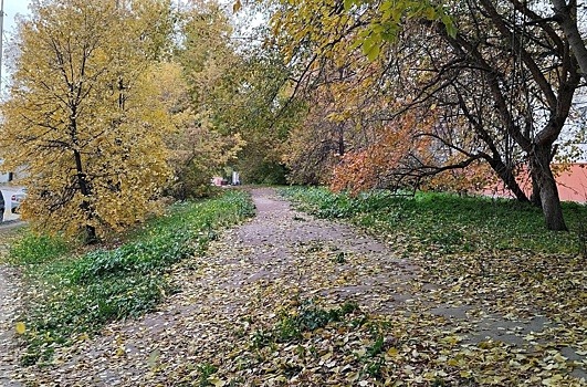 В Новосибирске обещают  потепление, вызванное прохождением циклона