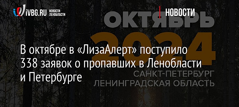 В октябре в «ЛизаАлерт» поступило 338 заявок о пропавших в Ленобласти и Петербурге