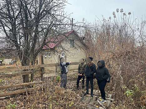 В Оренбурге задержали грабителей электроинструментов с дачных домов