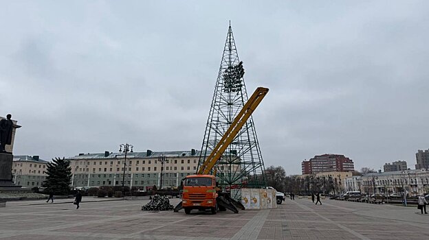 В Пензе собрали каркас главной городской елки