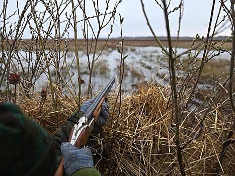 В Подмосковье задержали подозреваемого в нападении на двух охотников