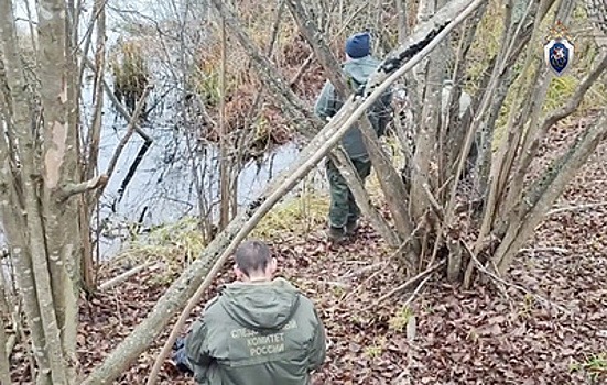 В Псковской области нашли тело пропавшего подростка