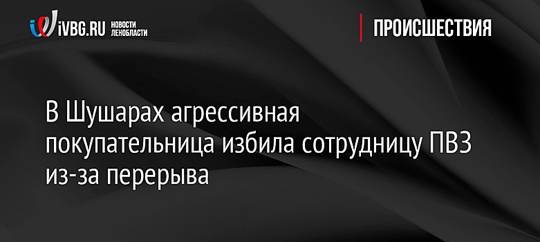 В Шушарах агрессивная покупательница избила сотрудницу ПВЗ из-за перерыва