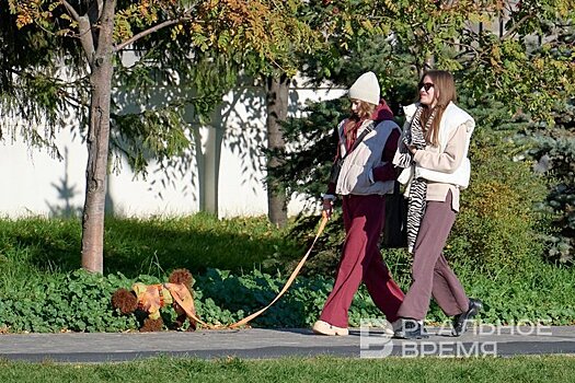 В трех парках Казани пройдут бесплатные занятия для собак