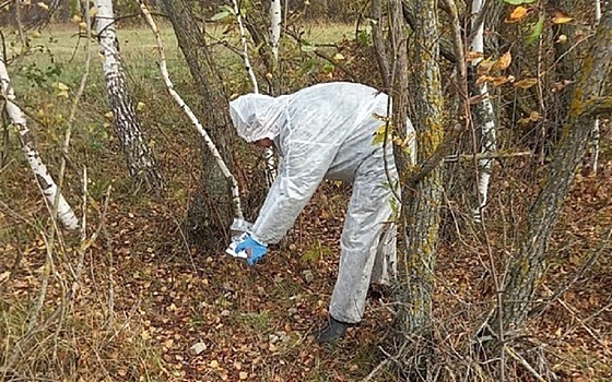 "Возможна сезонная вспышка": в Рязанской области поймали 10 бешенных зверей