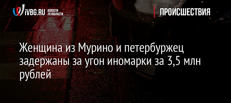 Женщина из Мурино и петербуржец задержаны за угон иномарки за 3,5 млн рублей