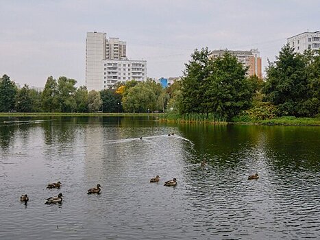 Часть парка "Ангарские пруды" благоустроят по программе КРТ