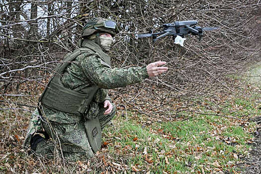 ГД наделила статусом ветерана боевых действий бойцов на Запорожье и Херсонщине