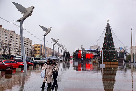 Мариупольцы встретят Новый год с городской елкой