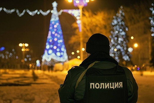 На новогодние праздники в Петербурге примут дополнительные меры антитеррористической безопасности