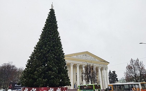 На площади Театральной в Рязани установили большую ёлочку