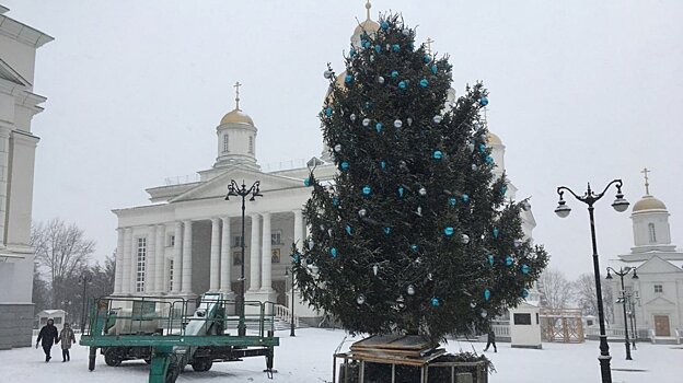 На Соборной площади в Пензе начали украшать живую ель