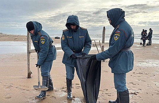 Пляжи Анапы залиты мазутом после крушения танкеров в Керченском проливе