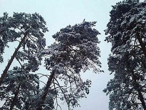 Погода без осадков ожидается завтра в Забайкальском крае