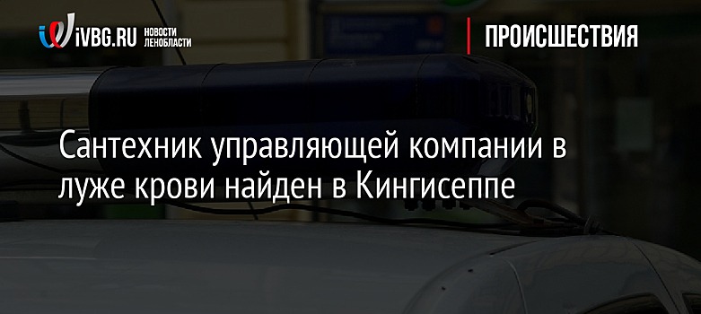 Сантехник управляющей компании в луже крови найден в Кингисеппе