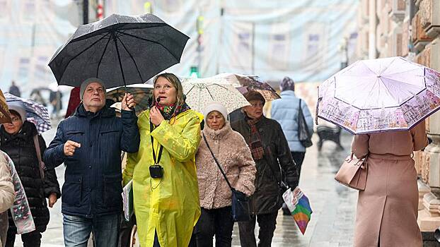 Синоптики предупредили москвичей о дождливой погоде 20 декабря