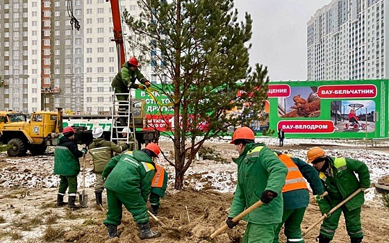 Сотрудники ГК "Зеленый сад" высадили сосны вдоль Муромского шоссе в Рязани