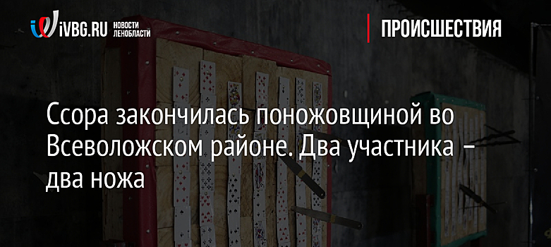 Ссора закончилась поножовщиной во Всеволожском районе. Два участника – два ножа