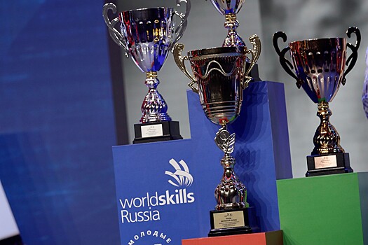 Экс-руководство WorldSkills обвинили в хищении миллионов рублей