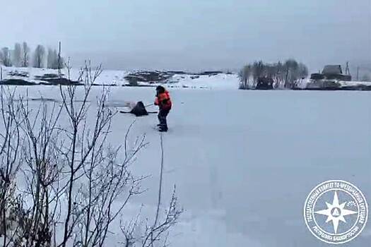 В Башкирии спасли оказавшегося посреди пруда лося