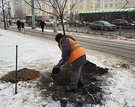 В Курске высадили деревья в парке имени Перекальского