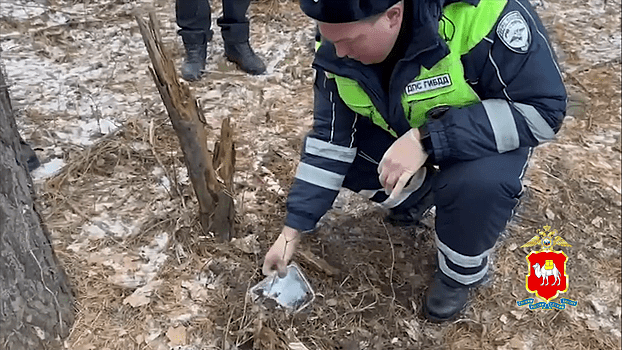 В лесу возле Челябинска сотрудники ДПС задержали наркокурьера, привёзшего в область 3,5 кг «синтетики»