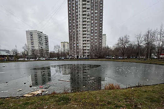 В Москве двое мужчин провалились под лед на пруду, пытаясь срезать дорогу