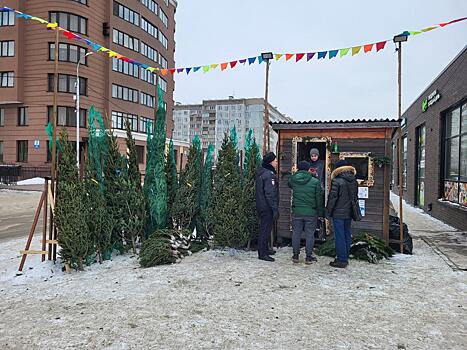 В Новосибирске пресекли деятельность ещё трёх нелегальных ёлочных базаров