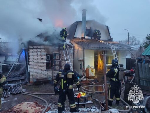 В Орле на пожаре погибли женщина и собака0