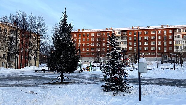 В Рябиновом сквере Ижевска установили живую новогоднюю ель