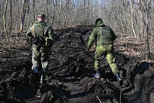 Волонтер рассказала о спасении изможденных срочников в болотах Курской области