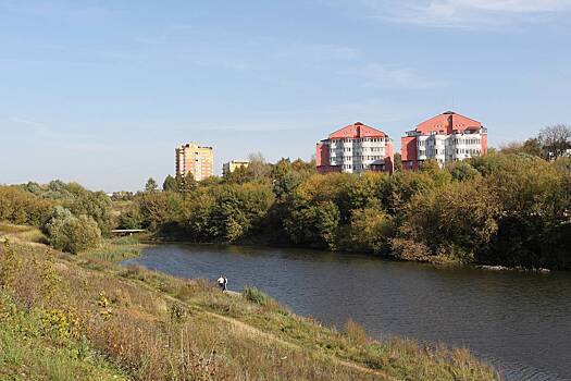 Жители подмосковного города заявили об угрозе экологического бедствия