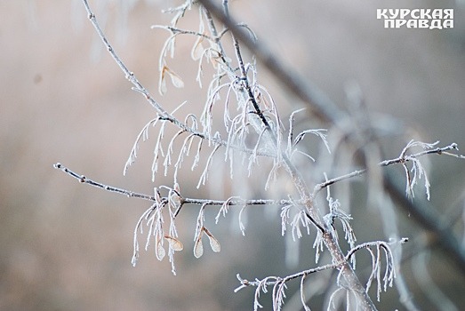 23 января в Курске синоптики обещают -5°C днем и -7°C ночью