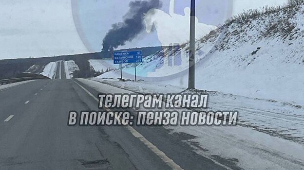 Автомобилистов обеспокоил пожар у трассы под Пензой