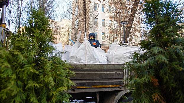 Более 9,6 тысячи деревьев высадили на благоустроенных территориях Москвы