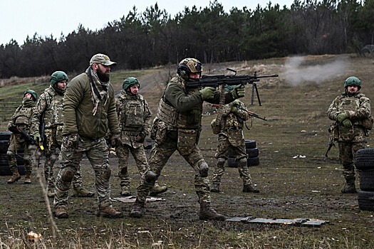 В Раде усомнились в способности властей Украины мотивировать молодежь служить в ВСУ