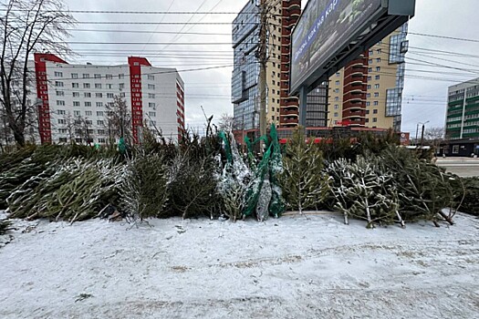 Елочные базары убрали с улиц Челябинска