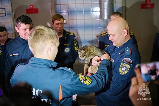 Кота Толика из пожарной части в Москве номинировали на международную премию