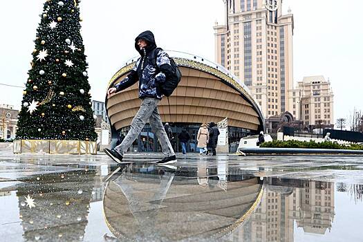 Москвичам пообещали апрельскую погоду в январе