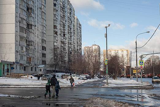 Москвичам посоветовали не ждать сугробов