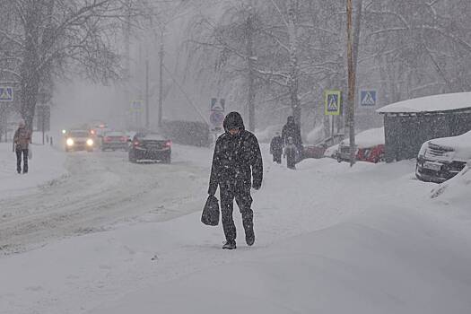 Назван срок возвращения снега в Москву