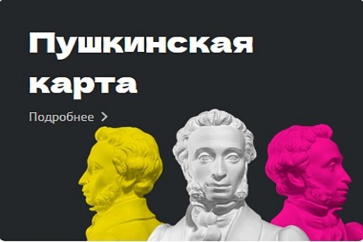 Новосибирские мошенники обманули государство почти на 30 млн рублей на махинациях с Пушкинскими картами