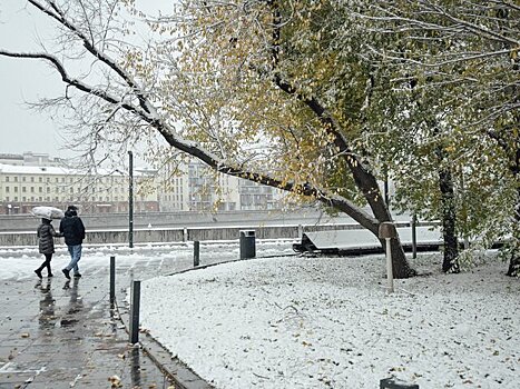 Облачная погода и небольшие осадки ожидаются в Москве 15 января