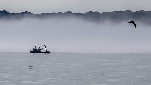 Останки исчезнувшего семь лет назад российского моряка нашли в Японии