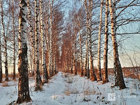 Оттепель пришла в Нижний Новгород на три дня