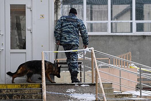 Правоохранители проверяют сообщения о минировании 10 школ Липецка